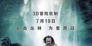 泰山归来在线观看完整,巅峰对决在线观影全记录